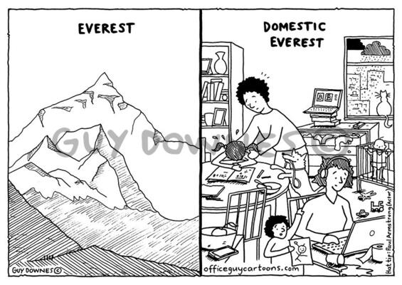 Domestic Everest