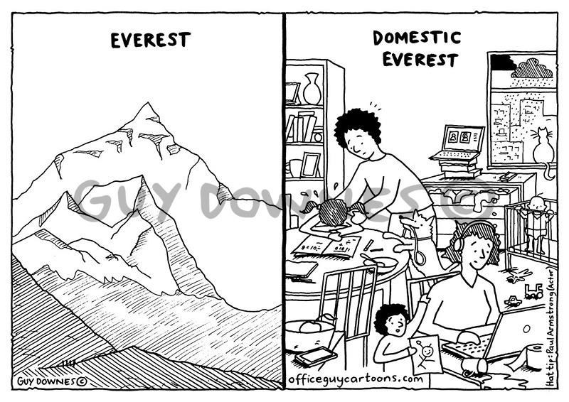 Domestic Everest