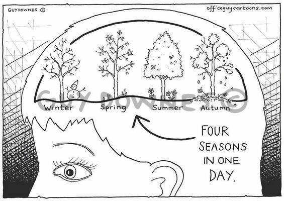 Four Seasons