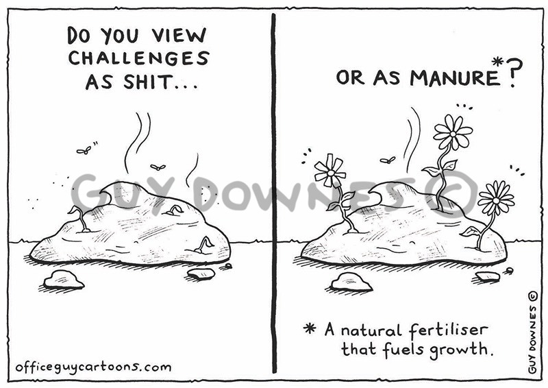 Shit vs Manure